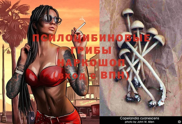 jwh Алзамай